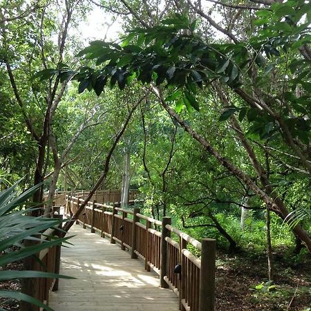 Mayan Palace Vidanta Resort Riviera Maya Puerto Morelos Zewnętrze zdjęcie