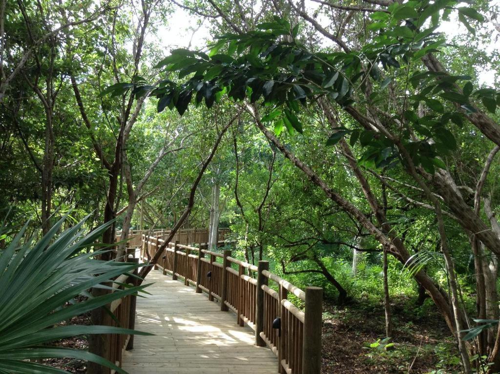 Mayan Palace Vidanta Resort Riviera Maya Puerto Morelos Zewnętrze zdjęcie
